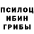 Галлюциногенные грибы ЛСД kayla Byers