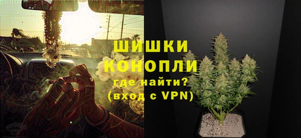 прущие грибы Бутурлиновка