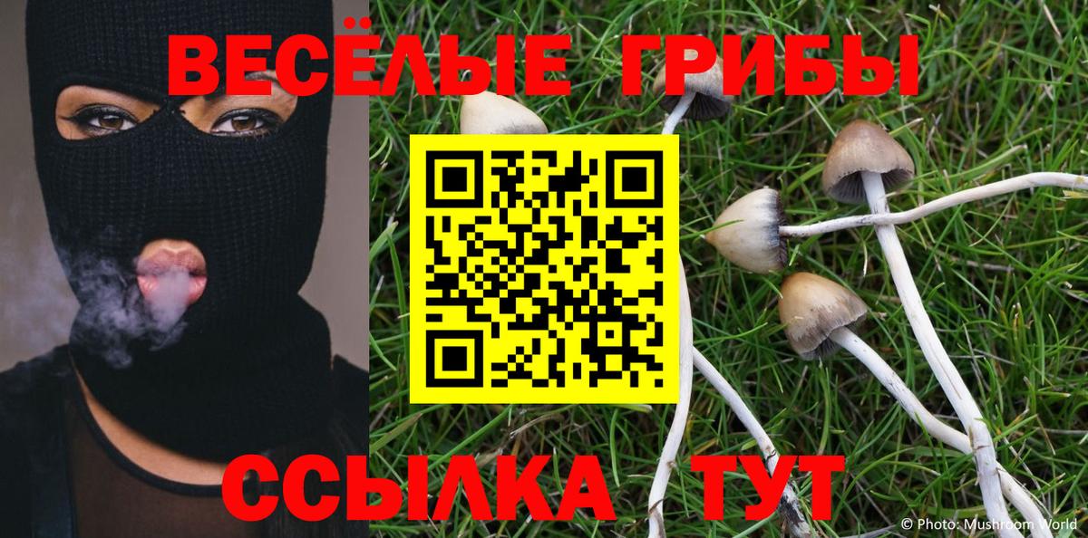 Галлюциногенные грибы мухоморы  Псилоцибиновые грибы мухоморы  Вход с VPN  Мыски 